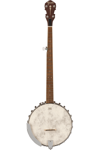 Fender PB-180E Banjo W/ Pickup & Bag