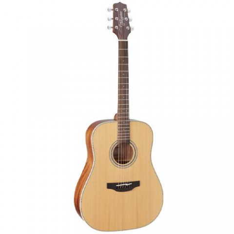 Takamine Guitars G20-NS Dreadnought Acoustic Guitar - Natural Satin